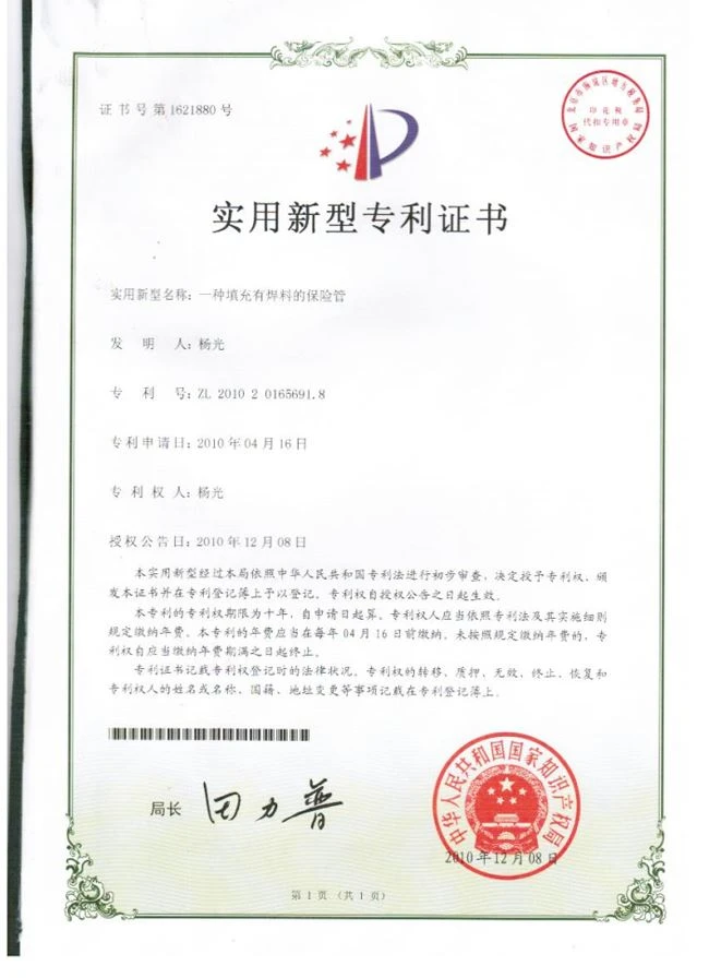 已上传, Fuse patent 2010-4-16